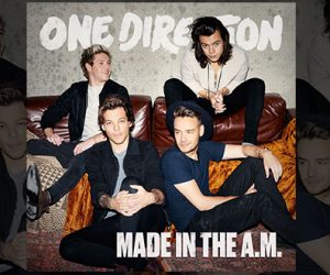 One Direction Made in The A.M