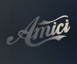 Amici 2013 logo