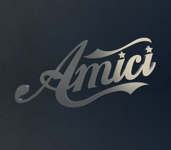 Amici 2013 logo