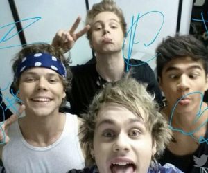 5 Seconds of Summer The Voice of Italy