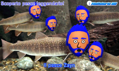 pesce Zayn