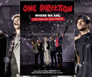 One Direction Where We Are DVD San Siro