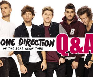 One Direction On The Road Again Tour 2015 Italia concerti