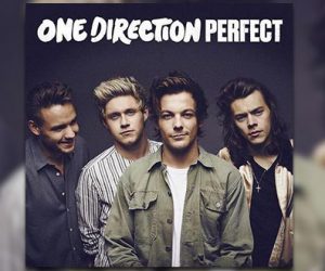 One Direction Perfect cover