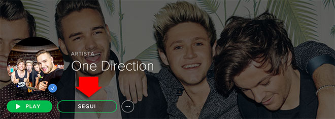 Spotify segui 1D