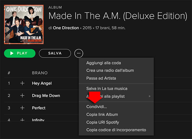 Spotify condividi 1D