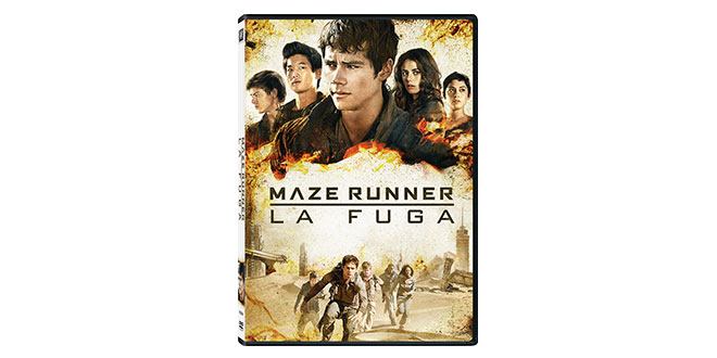 Maze Runner La Fuga DVD