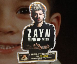 cartonato Zayn Mondadori