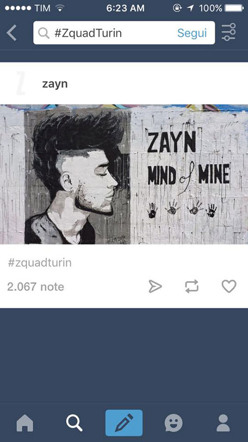 Zayn Tumblr