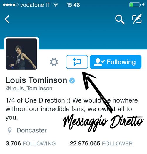 Louis Tomlinson DM Twitter