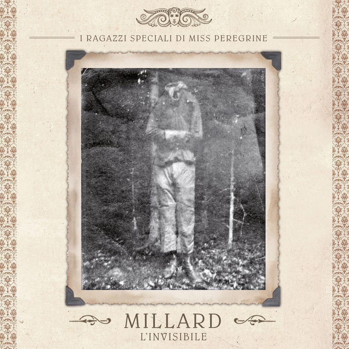 Millard Miss Peregrine