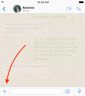 chat-whatsapp-ios