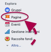 icona pagine in sezione esplora di facebook