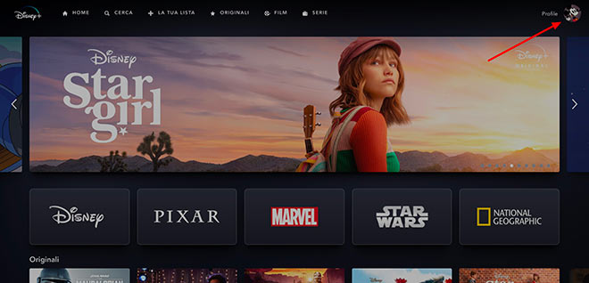 Disney Abbonamento Condiviso Con Piu Utenti