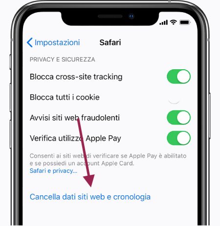 rimuovere cookies su safari iphone