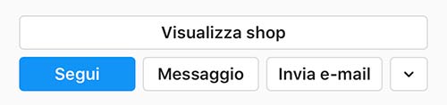 Visualizza shop instagram bottone
