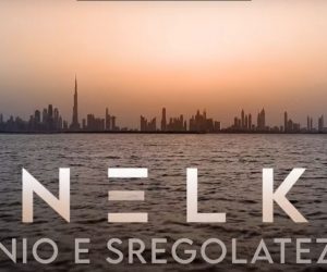 Anelka genio e sregolatezza