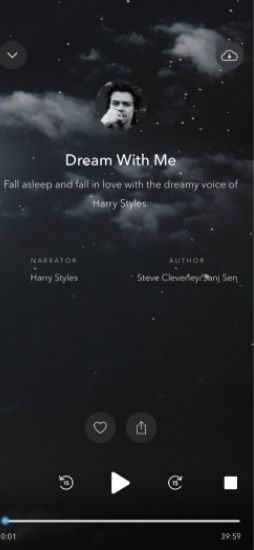 Harry Styles Dream With Me 1