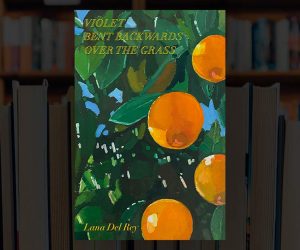 Libro poesie Lana Del Rey