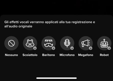 TikTok effetti vocali 1