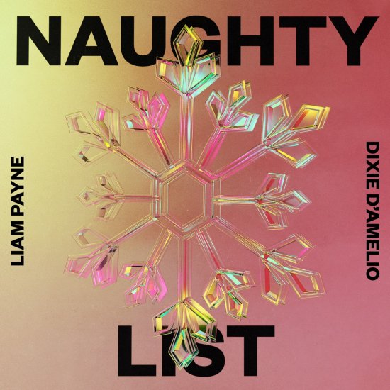 Nuaghty List Liam Payne Cover