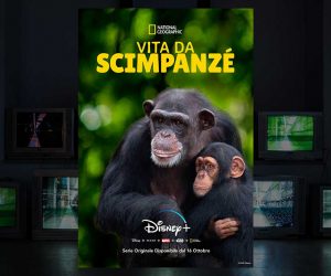 Vita da scimpanze