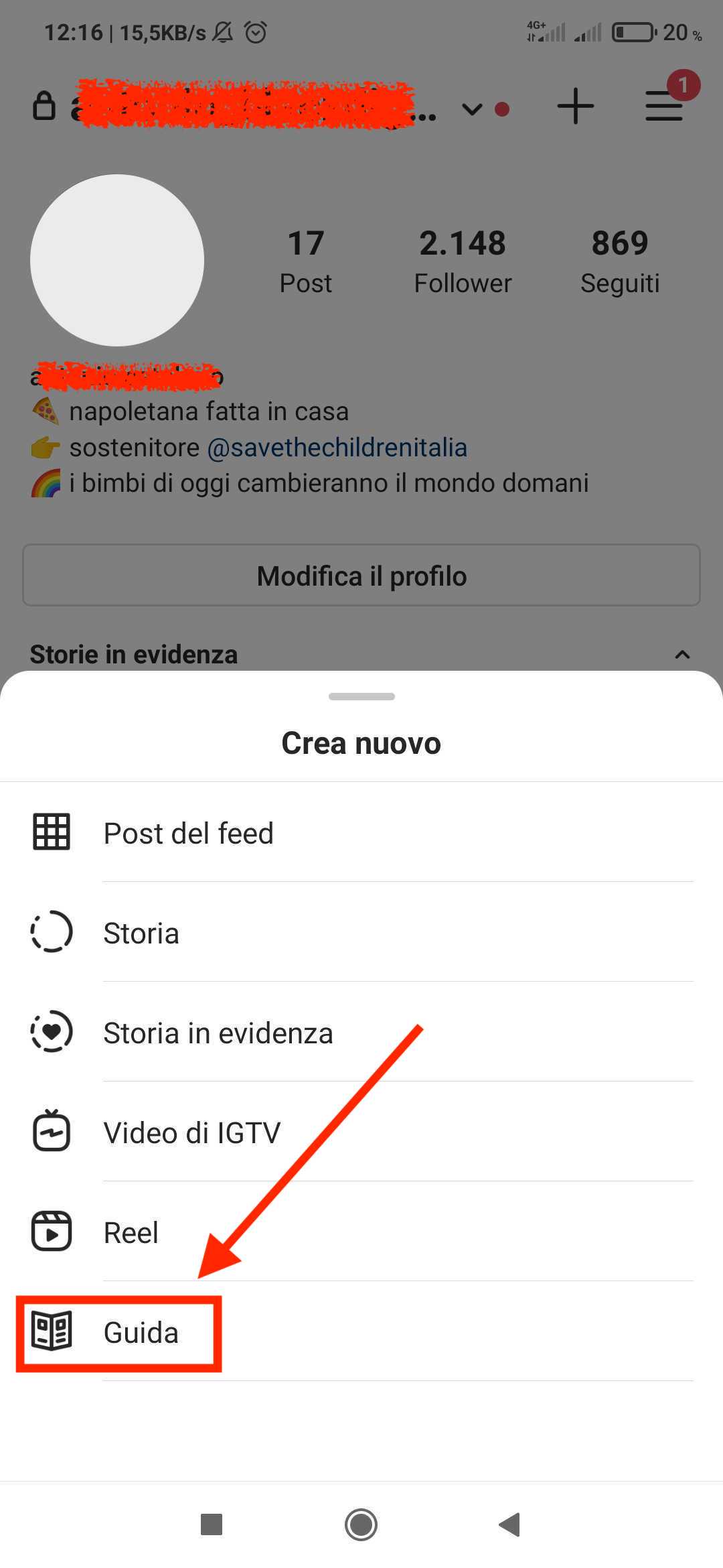 profilo-ig-pubblicazione-guida