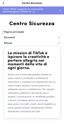 TikTok centro sicurezza