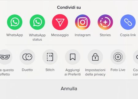 tiktok video privato