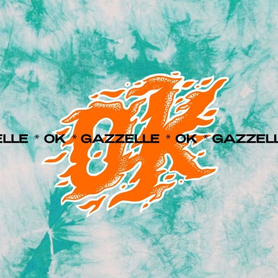 GAZZELLE cover OK