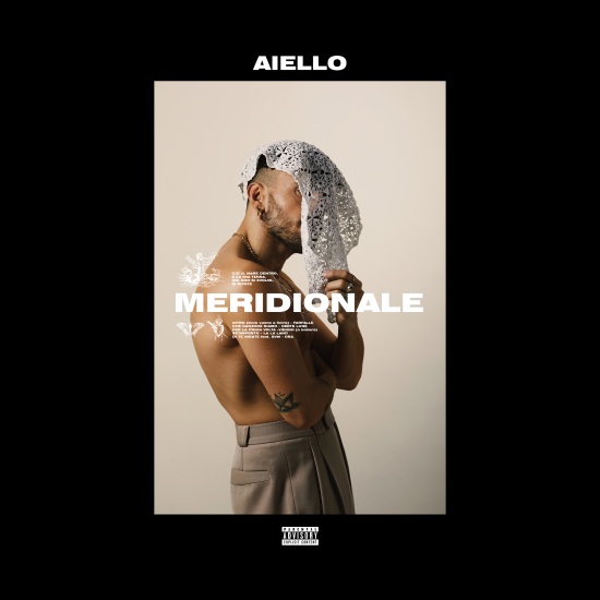 Meridionale cover Aiello