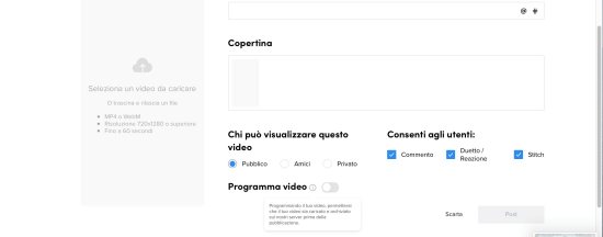 TikTok programmazione video 4