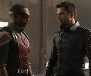 The Falcon and the Winter Soldier