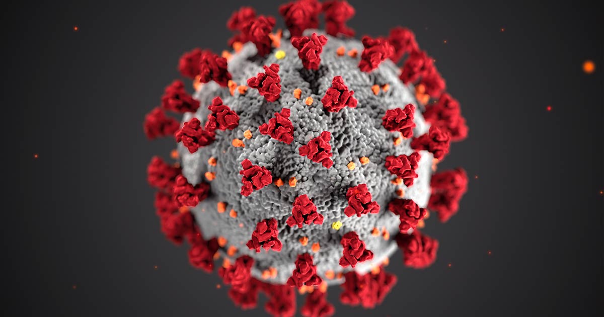 Virus