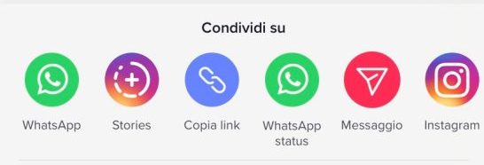 Condividere tiktok su instagram