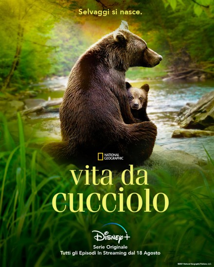 Vita da cucciolo poster Disney