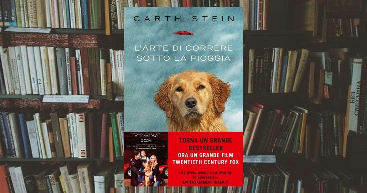 Tutto sul libro L'arte di correre sotto la pioggia di Garth Stein