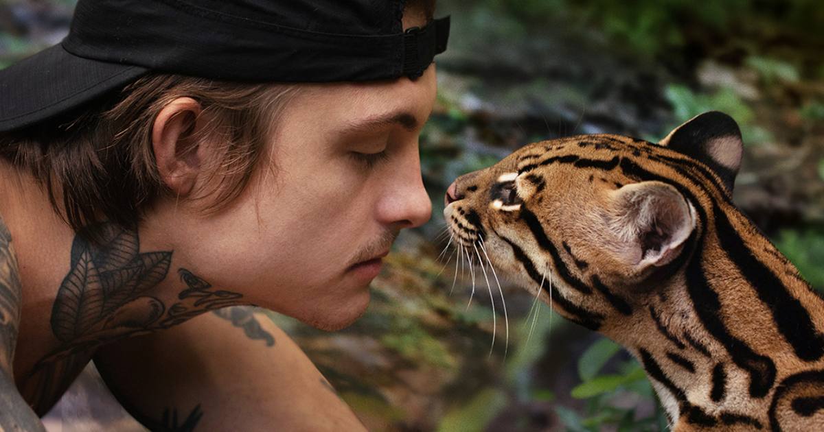 Wildcat Su Prime Video Trama E Trailer Del Film Wildcat Su Prime Video Trama E Trailer Del Film