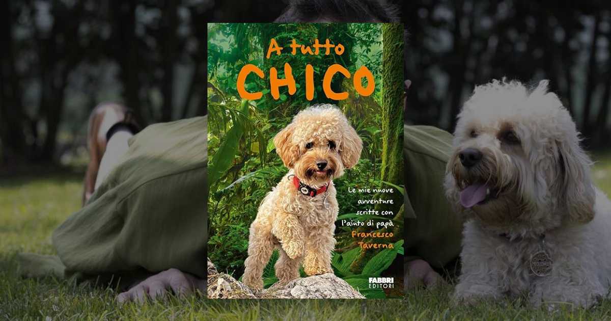 A tutto Chico libro Francesco Taverna