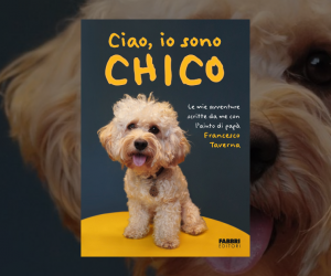 libro Ciao io sono Chico Francesco Taverna